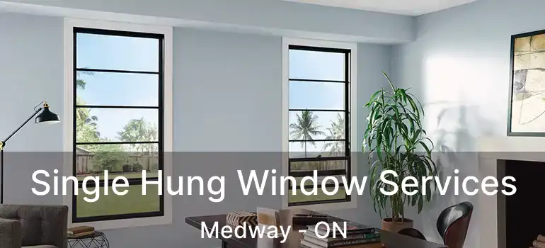  Single Hung Window Services Medway - ON