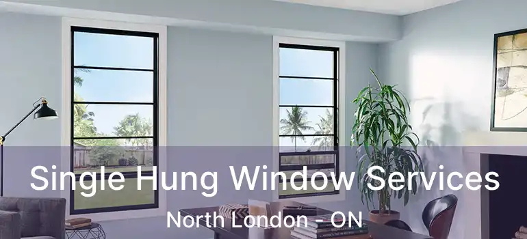  Single Hung Window Services North London - ON