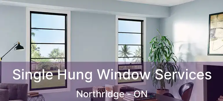  Single Hung Window Services Northridge - ON