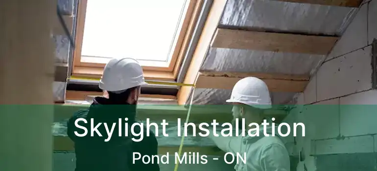  Skylight Installation Pond Mills - ON