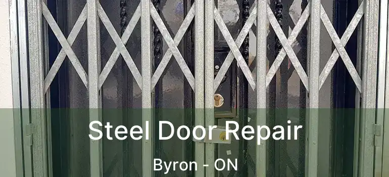  Steel Door Repair Byron - ON
