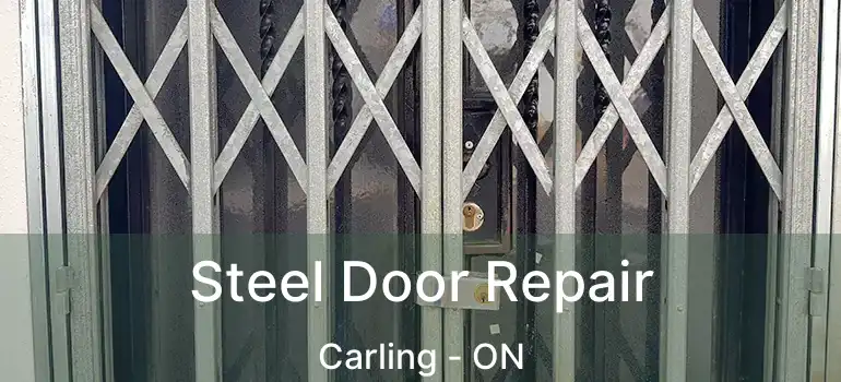  Steel Door Repair Carling - ON