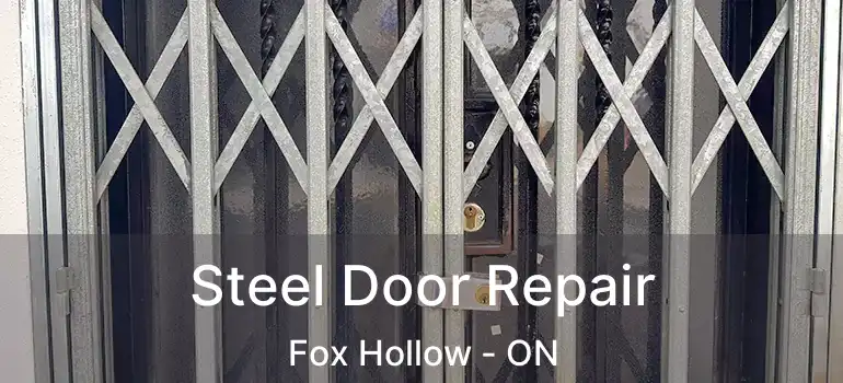  Steel Door Repair Fox Hollow - ON