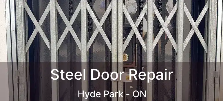  Steel Door Repair Hyde Park - ON