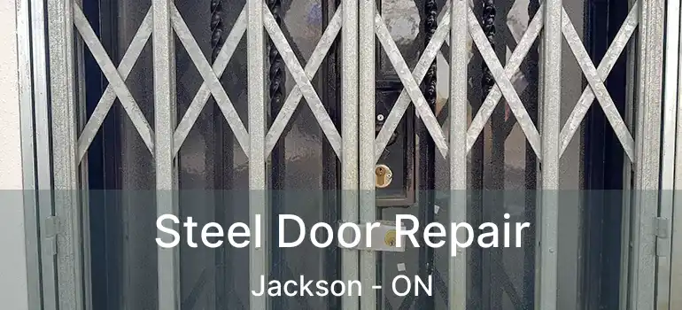  Steel Door Repair Jackson - ON