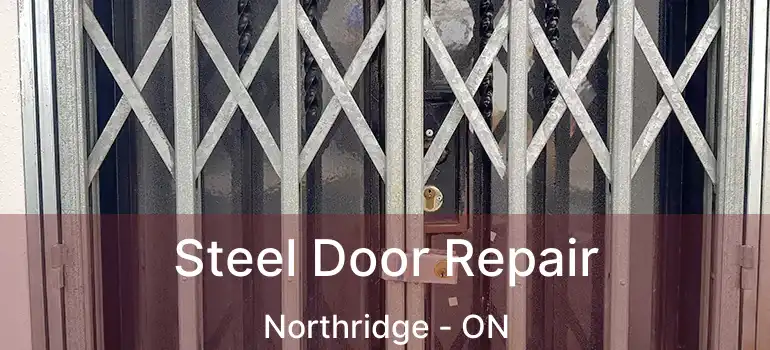 Steel Door Repair Northridge - ON