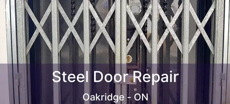  Steel Door Repair Oakridge - ON