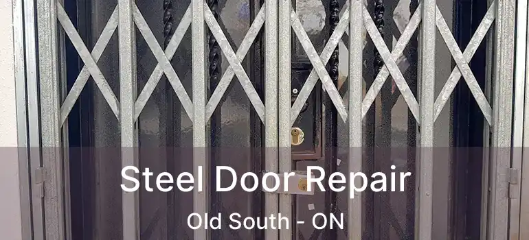  Steel Door Repair Old South - ON