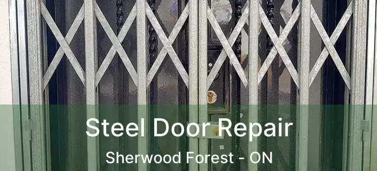  Steel Door Repair Sherwood Forest - ON