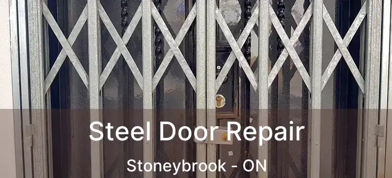  Steel Door Repair Stoneybrook - ON