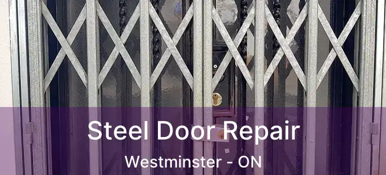  Steel Door Repair Westminster - ON