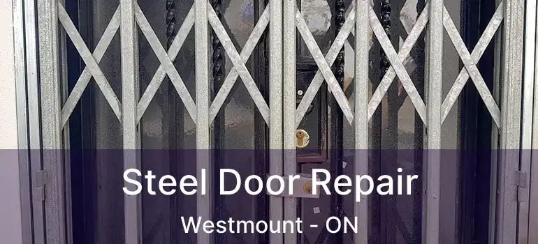  Steel Door Repair Westmount - ON