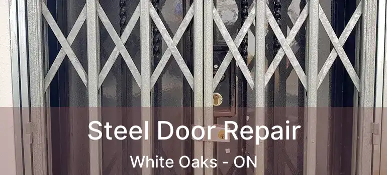  Steel Door Repair White Oaks - ON