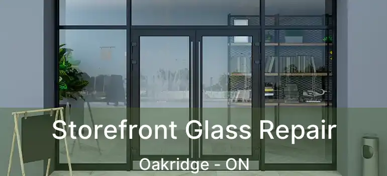  Storefront Glass Repair Oakridge - ON