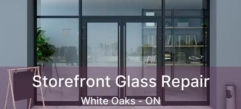  Storefront Glass Repair White Oaks - ON