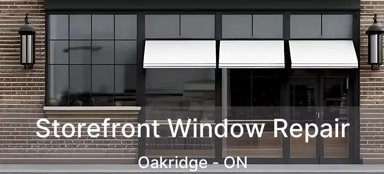  Storefront Window Repair Oakridge - ON