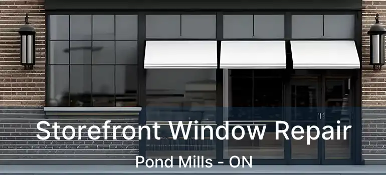  Storefront Window Repair Pond Mills - ON
