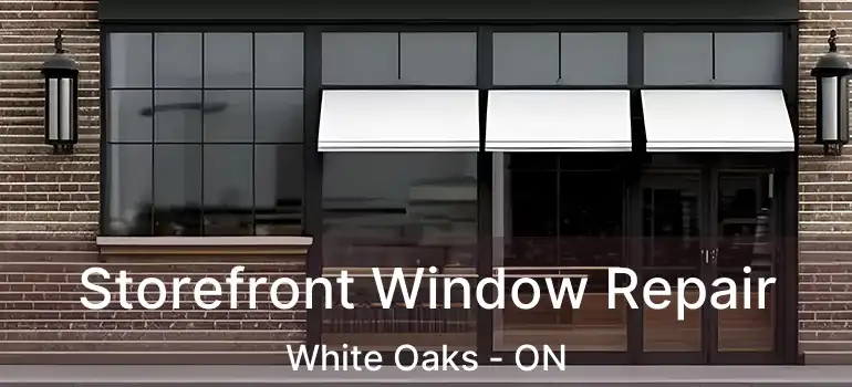  Storefront Window Repair White Oaks - ON
