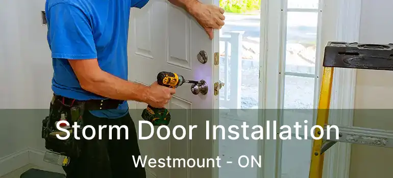  Storm Door Installation Westmount - ON
