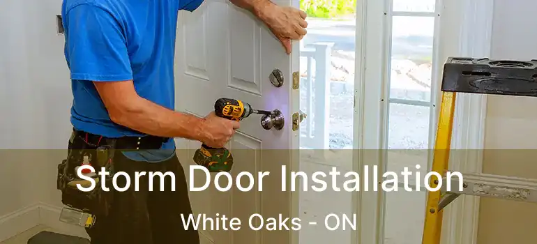  Storm Door Installation White Oaks - ON