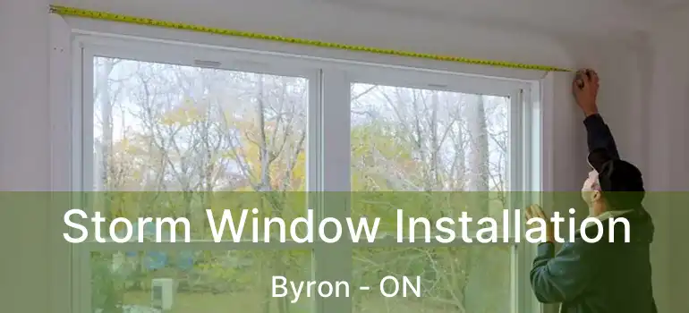  Storm Window Installation Byron - ON