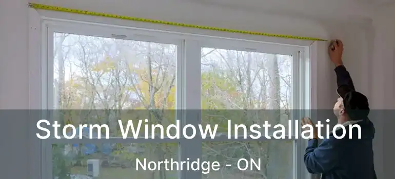  Storm Window Installation Northridge - ON