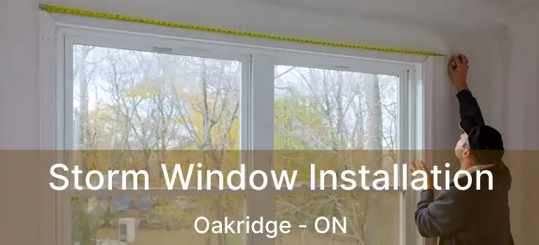  Storm Window Installation Oakridge - ON