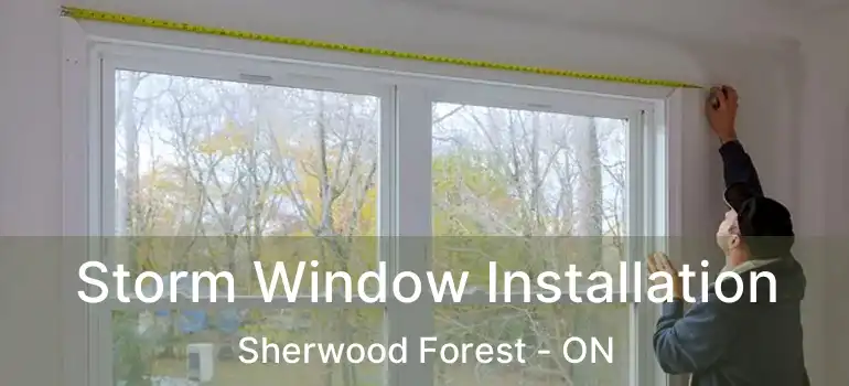  Storm Window Installation Sherwood Forest - ON