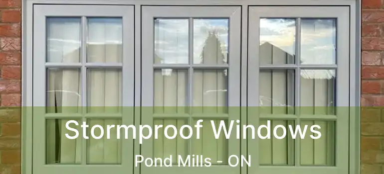  Stormproof Windows Pond Mills - ON