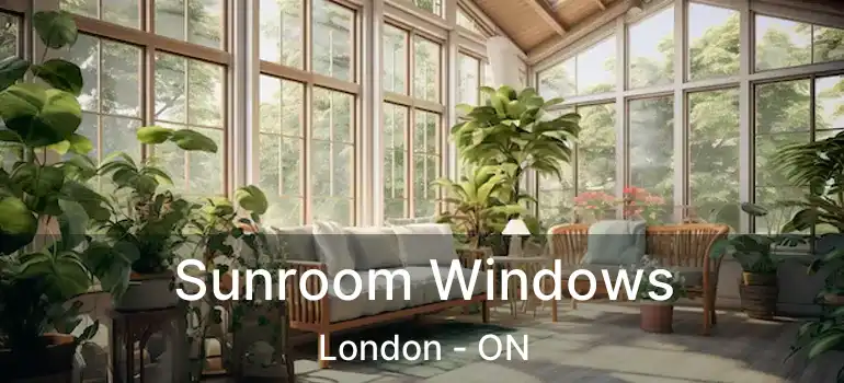  Sunroom Windows London - ON