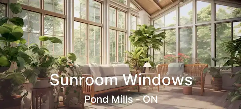  Sunroom Windows Pond Mills - ON