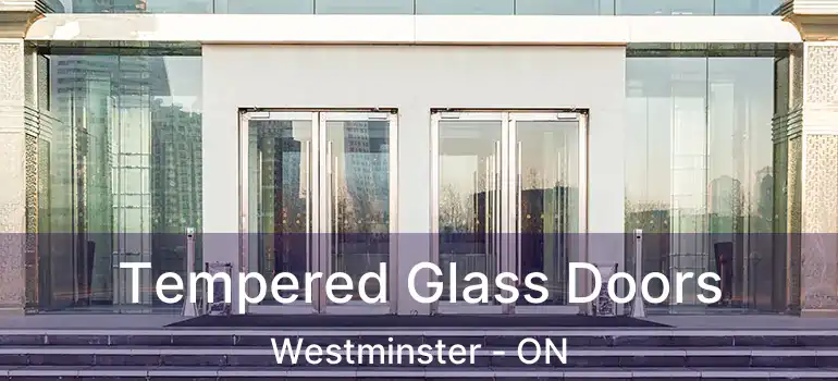  Tempered Glass Doors Westminster - ON