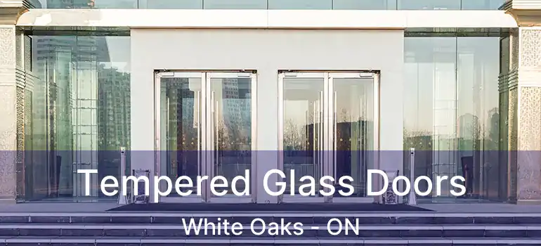  Tempered Glass Doors White Oaks - ON