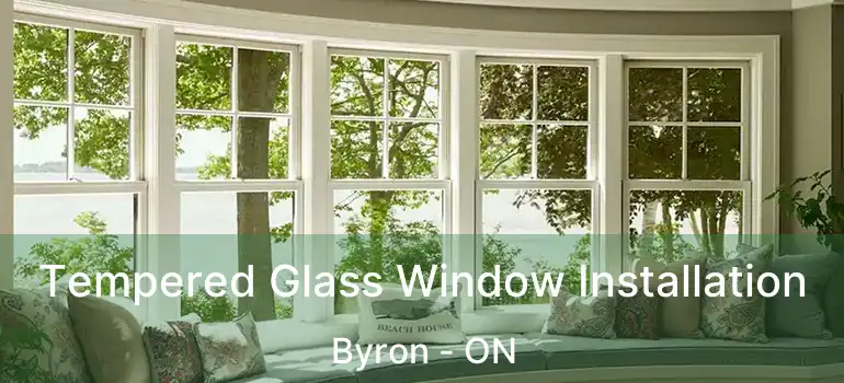  Tempered Glass Window Installation Byron - ON