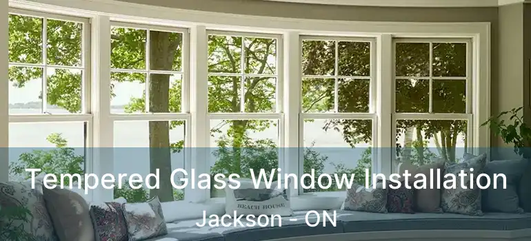  Tempered Glass Window Installation Jackson - ON