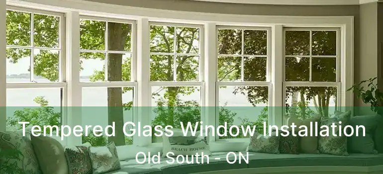  Tempered Glass Window Installation Old South - ON