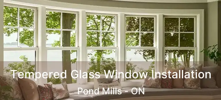  Tempered Glass Window Installation Pond Mills - ON