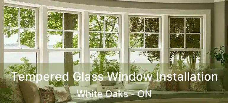  Tempered Glass Window Installation White Oaks - ON