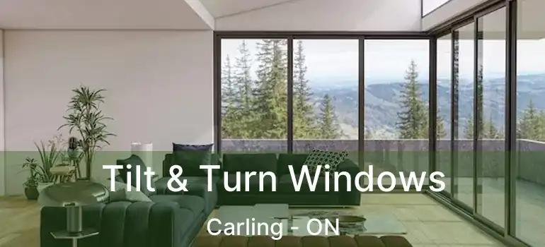  Tilt & Turn Windows Carling - ON