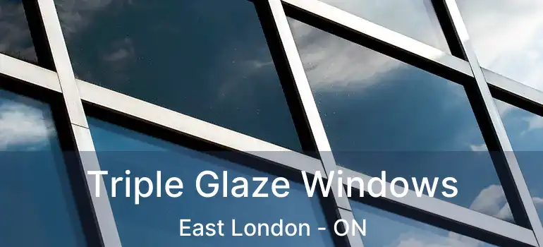  Triple Glaze Windows East London - ON