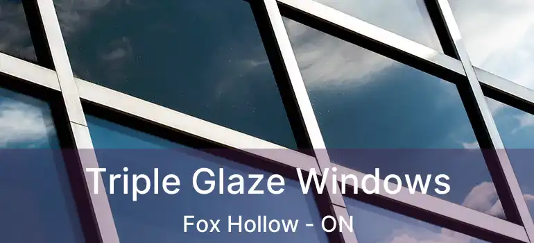  Triple Glaze Windows Fox Hollow - ON