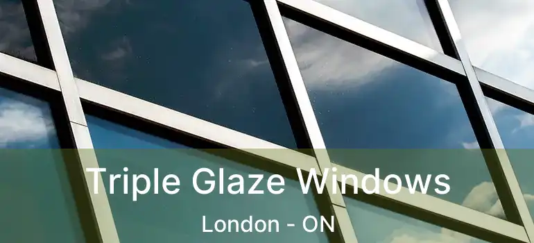  Triple Glaze Windows London - ON