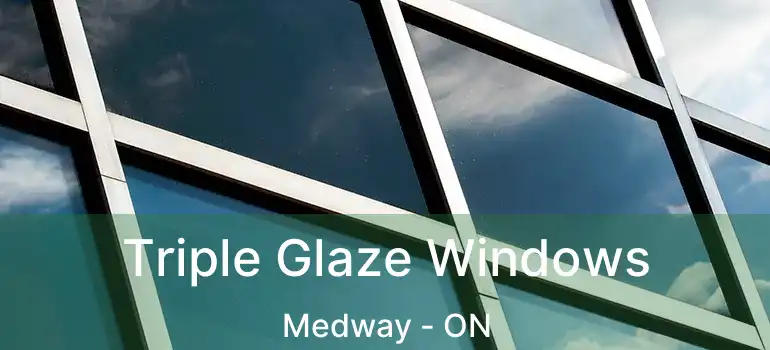  Triple Glaze Windows Medway - ON