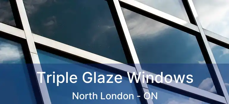  Triple Glaze Windows North London - ON