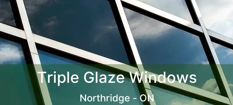  Triple Glaze Windows Northridge - ON