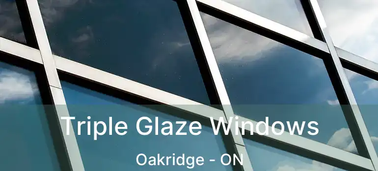  Triple Glaze Windows Oakridge - ON