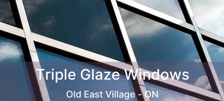  Triple Glaze Windows Old East Village - ON