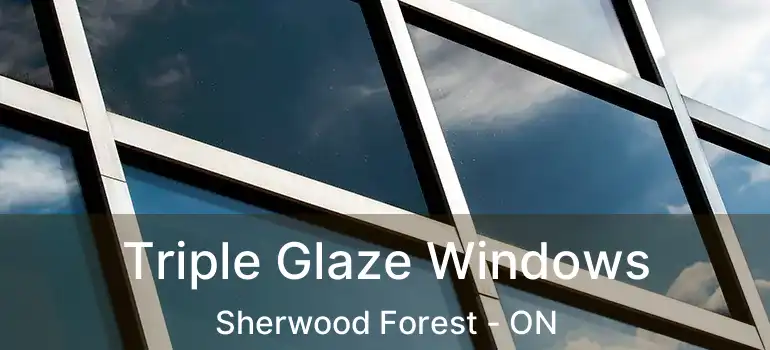  Triple Glaze Windows Sherwood Forest - ON