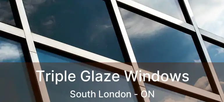  Triple Glaze Windows South London - ON
