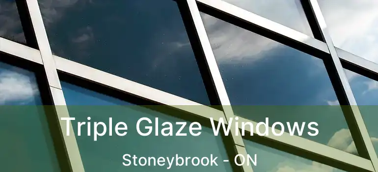  Triple Glaze Windows Stoneybrook - ON